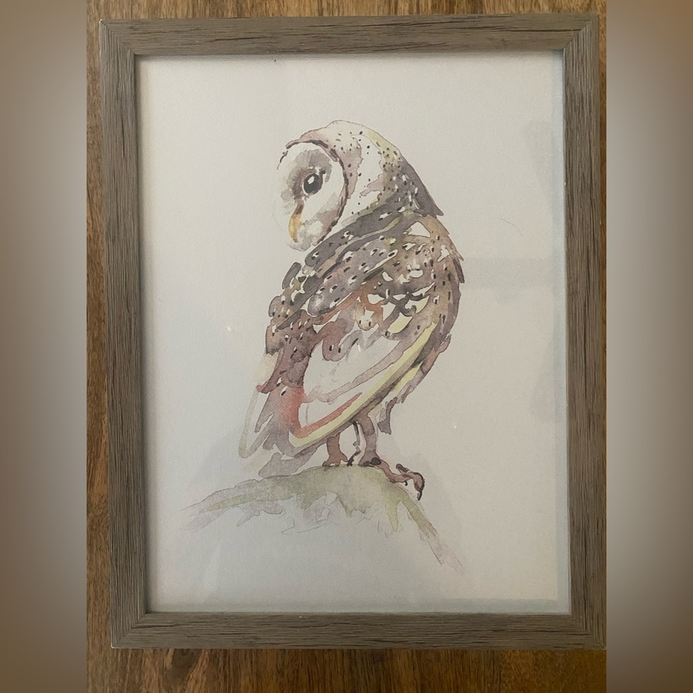 Beautiful owl picture!